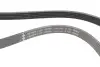 Ремінь генератора Volvo S40/S60/S80/V40/V60/V70/XC60/XC70 00- (5PK1123) INA FB5XPK1123 (фото 2)