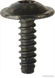 (Z005) (Z002) Шуруп кріплення захисту двигуна Audi/Seat/Skoda/Volkswagen HERTH+BUSS / JAKOPARTS 50267065