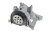 Насос масляний + вакуумний BMW 5 (F10) 3.0d 11- N57 PIERBURG 7.24808.25.0 (фото 1)