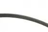 Комплект ременя генератора Renault Twingo 1.2 TCe 07- (4PK745) INA 529 0408 10 (фото 2)