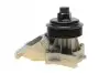 Помпа води BMW 3 (E46)/7 (E65/E66/E67)/X5 (E53) 3.0d 01-06 Contitech WPS3053 (фото 7)