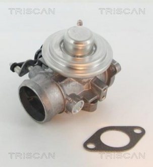 Клапан рецеркуляції відпрацьованих газів TRISCAN 8813 29201 (фото 1)
