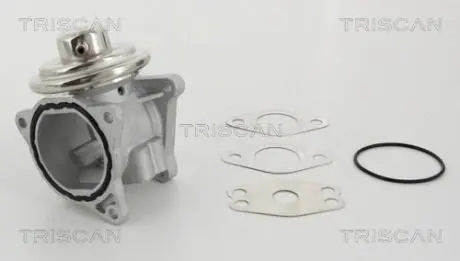 Клапан рецеркуляции отработавших газов TRISCAN 8813 29111