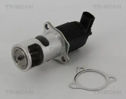 Клапан рецеркуляции отработавших газов TRISCAN 8813 25005
