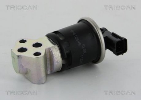 Клапан рецеркуляції відпрацьованих газів TRISCAN 8813 21008 (фото 1)