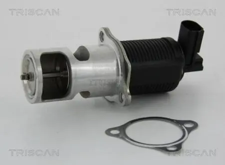 Клапан рецеркуляции отработавших газов TRISCAN 8813 24055
