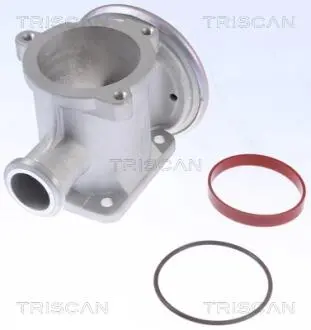 Клапан рецеркуляции отработавших газов TRISCAN 8813 11105