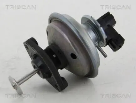 Клапан рецеркуляции отработавших газов TRISCAN 8813 11002