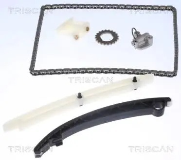 Комплект цепи ГРМ TRISCAN 8650 24004