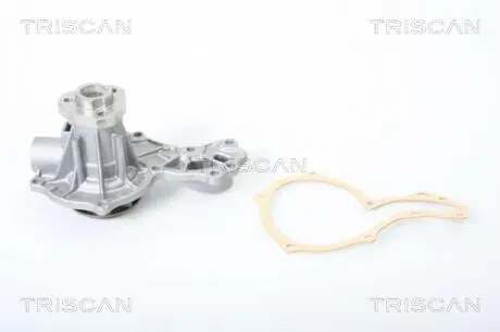 Насос водяной TRISCAN 8600 29005