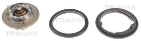 Термостат TRISCAN 8620 11582