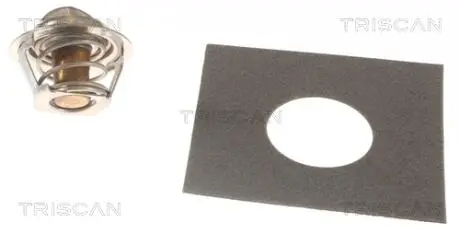 Термостат TRISCAN 8620 1382