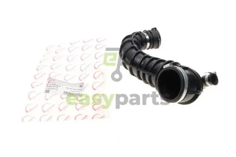 Патрубок фільтра повітряного Ford Connect 1.8/1.8TDCi 02-13 ROTWEISS RWS2458
