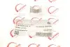Патрубок інтеркулера BMW 3 (E90) 05-11 M57 ROTWEISS RWS2703 (фото 5)