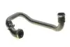 Патрубок інтеркулера Opel Movano/Renault Master 2.2/2.5DTI/dCi 00- ROTWEISS RWS2448 (фото 1)