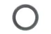 Цепь масляного насоса2,0 16V Renault Duster 2010- Renault RENAULT / DACIA 7701478100 (фото 2)