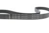 Комплект ременя генератора Audi A3/Seat Leon/Skoda Octavia/VW Caddy/Passat B6 1.6-2.0 03- (6PK1043) INA 529 0429 10 (фото 4)