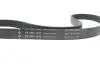 Комплект ременя генератора Audi A3/Seat Leon/Skoda Octavia/VW Caddy/Passat B6 1.6-2.0 03- (6PK1043) INA 529 0429 10 (фото 4)