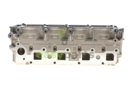 Головка блоку циліндрів Nissan Pathfinder 2.5 dCi/X-Trail 2.2 dCi 01- KOLBENSCHMIDT 50003175