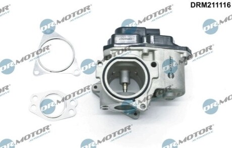 Клапан рециркуляцiї AUDIA3 03-15/VW GOLF VI 08-14/SKODA OCTAVIA 04-13 DR MOTOR DRM211116