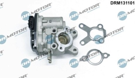 Клапан рециркуляцiї NISSAN NP300 NAVARA 04-/CABSTAR 06-13 DR MOTOR DRM131101