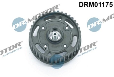 Шестерня розподiльчого валу 7701474362, 7701478079, 7701478505, RV001, 58114 DR MOTOR DRM01175