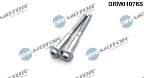 (к-кт 2шт) Гвинт, тримач інжекторної форсунки VAG DR MOTOR DRM01076S
