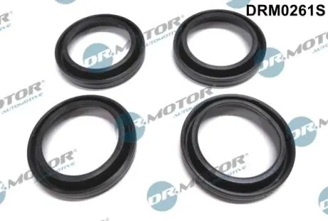 К-кт прокладок паливної форсунки Mazda 6 2.0DI 02-07 DR MOTOR DRM0261S