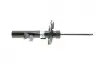 Амортизатор (передній) Ford Focus III 1.0-2.0 12- (R) (B4) BILSTEIN 22255976 (фото 9)