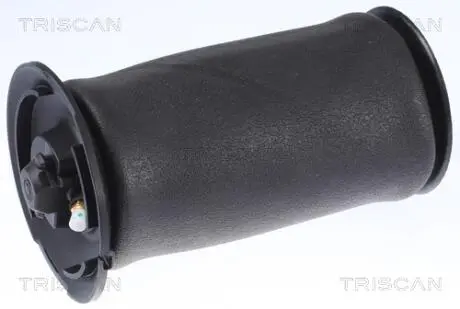 Пневмоподушка подвески TRISCAN 8720 11202