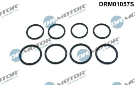 Комплект ущiльнюючих кiлець 8 елементiв DR MOTOR DRM01057S