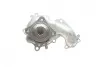 Комплект ГРМ + помпа Ford Transit Connect 1.8Di/1.8TDCi 02- 55/66/81kw BOSCH 1 987 946 462 (фото 2)