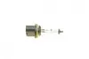 Фото 3 - автолампа H27W/1 12V 27W PG13 Halogen Miniature NARVA 480413000 Автолампа H27W/1 12V 27W PG13 Halogen Miniature NARVA 480413000 (фото 3)