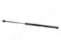 FORD газовий амортизатор багажника Fiesta VI JAPANPARTS ZS03054 (фото 1)