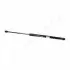 VW амортизатор багажника GOLF,Passat JAPANPARTS ZS09181 (фото 1)