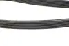 Ремінь генератора Volvo 2.0T/2.4D/3.0T6 01-08 HUTCHINSON 1825 KDF 6 (фото 8)