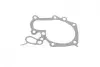Помпа води Renault Kangoo/Megane/Clio 1.4/1.4i/1.4e 96- (B/B) (8 лоп) BUGATTI PA7715 (фото 17)