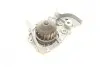 Помпа води Renault Kangoo/Megane/Clio 1.4/1.4i/1.4e 96- (B/B) (8 лоп) BUGATTI PA7715 (фото 2)