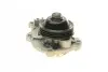 Помпа води Citroen C1/C3/C4 Cactus/Peugeot 208/308 1.0/1.2VTi 12-/Opel Corsa 19- (R/B)(6 лоп)(3кан) BUGATTI PA10252 (фото 11)