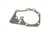 Помпа води Renault Clio/Megane/Scenic/Kangoo/Laguna 1.4/1.6i 01-/Nissan Kubistar 03-09 (R/B)(8 лоп) BUGATTI PA10235 (фото 17)