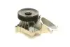 Помпа води Land Rover Freelander 2.0Td4 4x4 00-06/Rover 75 2.0CDT/CDTi 99-05 (R/B) (7 лоп) (6 кан.) BUGATTI PA10027 (фото 12)