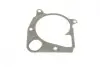 Помпа води Land Rover Freelander 2.0Td4 4x4 00-06/Rover 75 2.0CDT/CDTi 99-05 (R/B) (7 лоп) (6 кан.) BUGATTI PA10027 (фото 8)