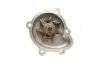 Помпа води Opel Astra G/H/J/Combo/Corsa C/D/Zafira 1.7CDTI/DTI 00- (R/B)(7 лоп) BUGATTI PA10014 (фото 11)