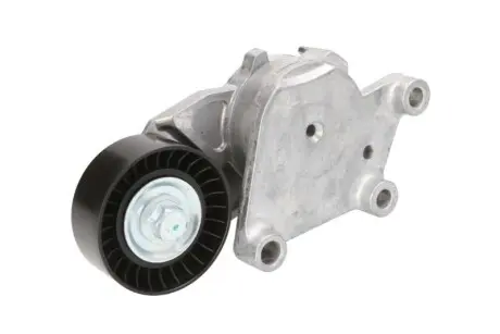 Натяжитель ремня генератора (60x25) Citroen/Peugeot/Ford 1.4HDi/1.6TDCi 01- BTA E3P0001BTA