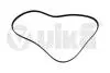 Ремень поликлиновой 6PK1736 Skoda Fabia (07-14,14-),Octavia (04-13)/VW Golf (03-12) Vika 22600870801 (фото 1)