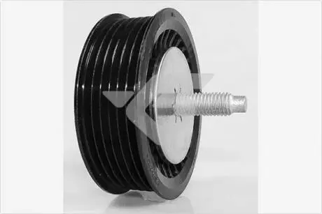 Ролик приводного ремня 1,6 16V, 1,5dci Renault Kangoo II, Megane II, Captur HUTCHINSON T0533