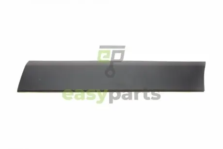Молдинг дверей (передніх/R) VW Crafter 2.0/2.5 TDI 06-16 DPA 88531532602