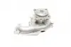 Помпа води Ford C-Max I/Focus I/II/Fiesta/Mondeo/Transit/Tourneo Connect 1.8DI/TDCi/TDDi 99- Contitech WPS3006 (фото 7)