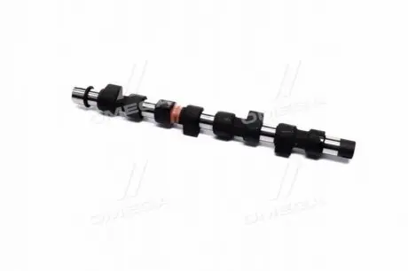 Розподільний вал Fiat Doblo 1.9 JTD 01- KOLBENSCHMIDT 50007038