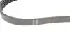 Ремінь генератора Ford Focus 1.4/1.6 Ti 03- (5PK868) HUTCHINSON 868 SK 5 (фото 2)